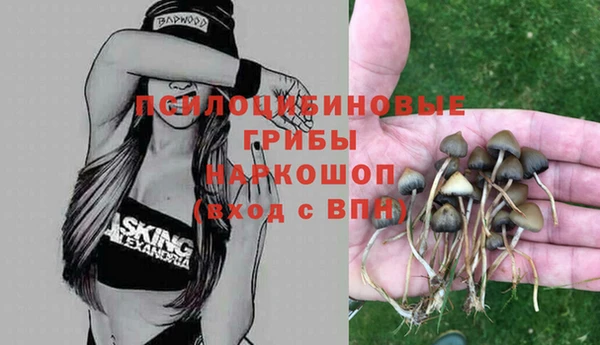 дживик Нягань