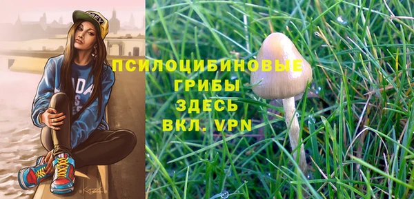 MDMA Няндома