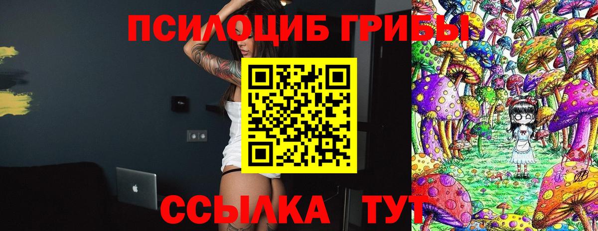 Унеча  Галлюциногенные грибы мицелий  Псилоцибиновые грибы GOLDEN TEACHER  Вход с VPN 